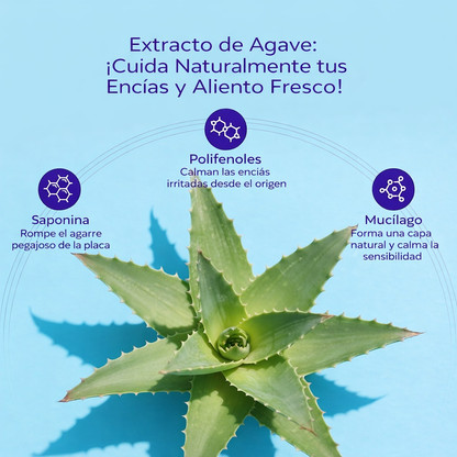 Oréa Pasta Dental Herbal Natural